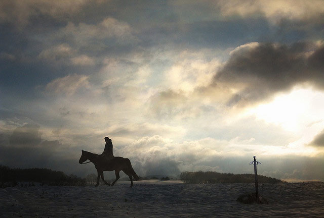 Solitary horseback rider on snowy landscape